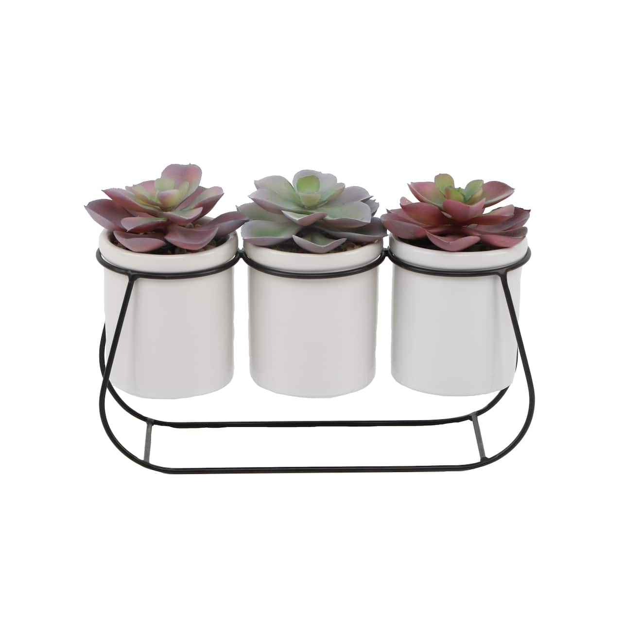Flora Bunda® 11.5" Potted Succulents in Metal Stand